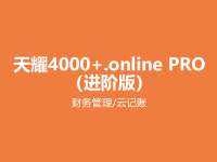 天耀4000+.online PRO（进阶版）