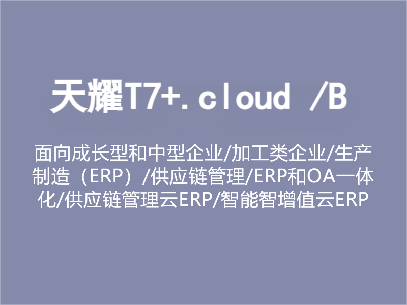 天耀T7+.cloud /B