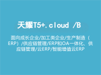 天耀T5+.cloud /B