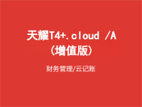 天耀T4+.cloud /A（增值版）