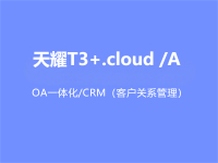 天耀T3+.cloud /A