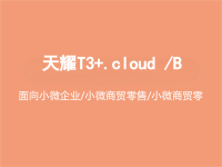 天耀T3+.cloud /B