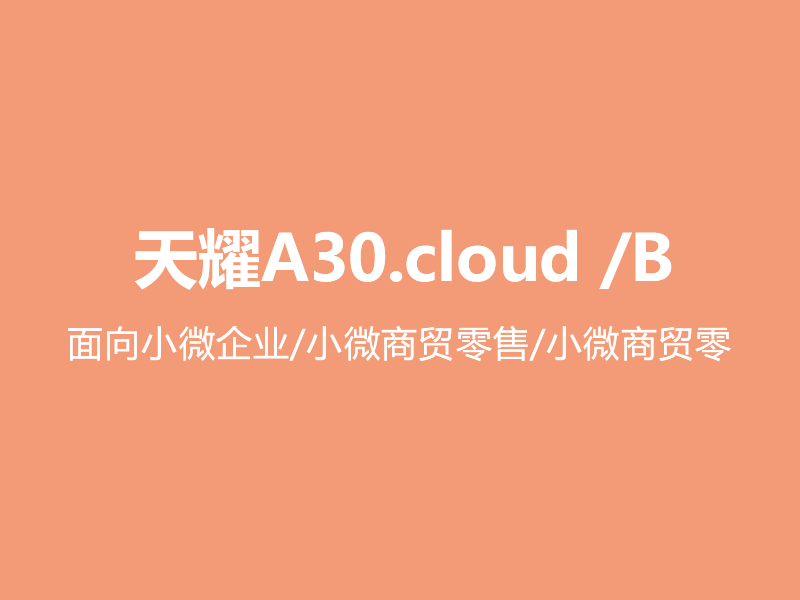 天耀A30.cloud /B