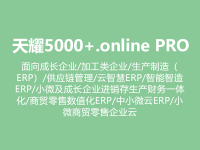 天耀5000+.online PRO